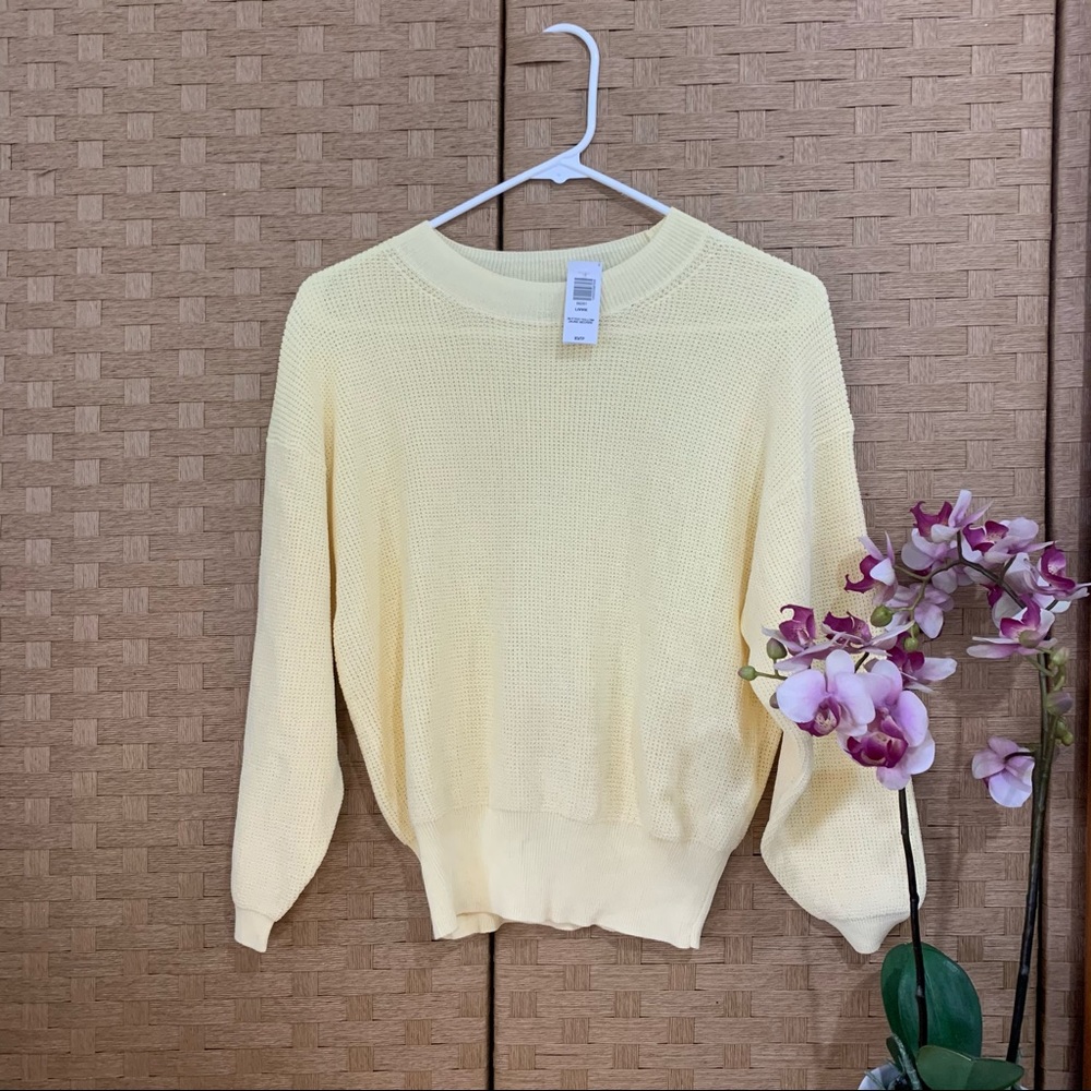 Aritzia Wilfred Livvie Lightweight Crew Sweater